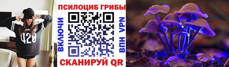 Псилоцибиновые грибы Psilocybe  Сухиничи 